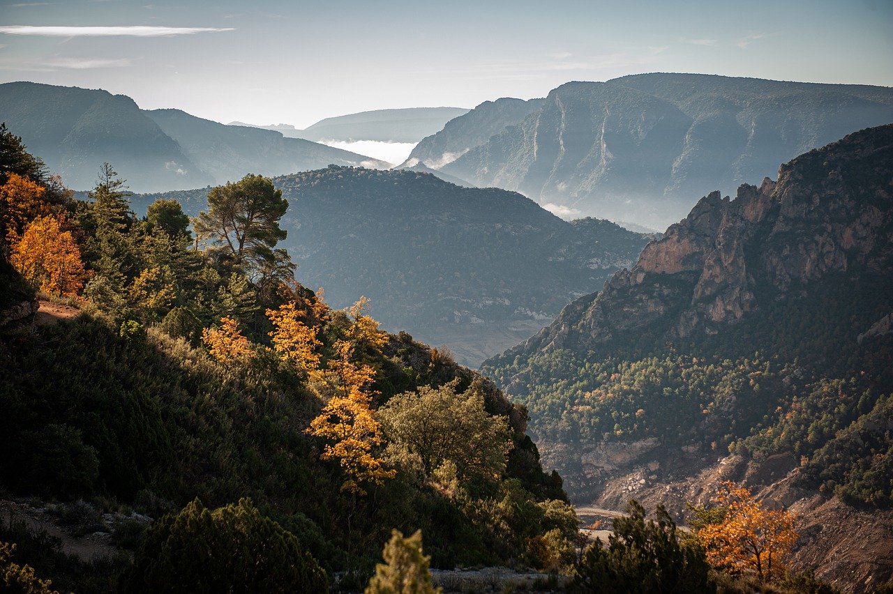 횡성산양삼